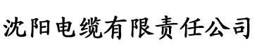 樱桃视频去污版电缆厂logo